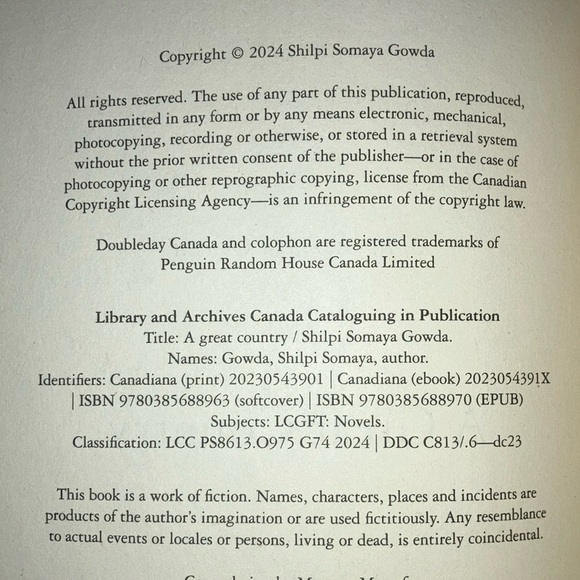 A Great Country by Shilpi Somaya Gowda - Picture 7 of 14